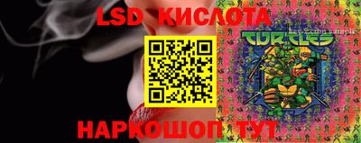 индика Аргун