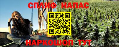 индика Аргун
