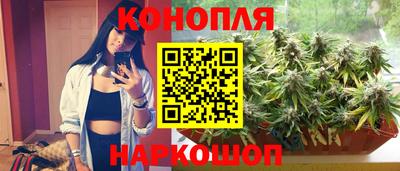 индика Аргун