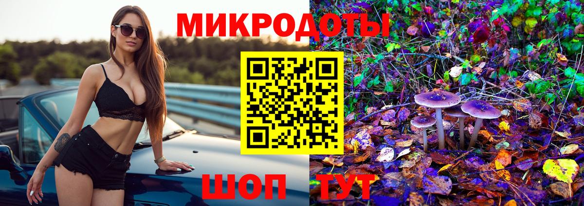 Псилоцибиновые грибы мицелий Балаково